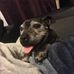 Michael Halls - Facebook