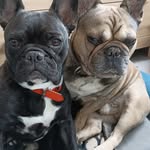 Michael Hamard - @michaelhamard - Instagram