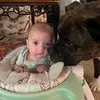 Michael Hamer - @michael.hamer68 - TikTok