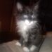 Michel Hammack - Facebook