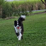Michael Hampel - @michael.hampel.9085 - Instagram