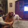 michael.hanger09 - @michael.hanger09 - TikTok
