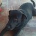 Michael Hank - Facebook