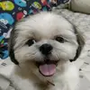 michael_hansson - @michael_hansson - TikTok