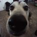 Michael Hanton - Facebook
