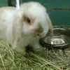 Michael Hanton - @michael.hanton - TikTok