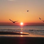 Michael Happenny - @michaelhappenny - Instagram