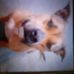 Michael Harbert - Facebook