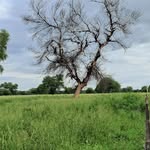 Michael Harder - @michael.harder.3954 - Instagram