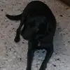 mackiejack - @michaelharkrider12 - TikTok