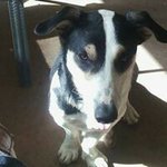 Michael Harling - @harlingmichael - Instagram