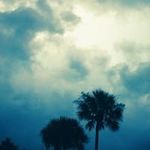 Michael Harrell - @michael.harrell.1840 - Instagram