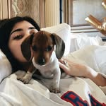 Michael Harriger - @hotshibbits - Instagram