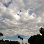 Michael Harryman - @m.m.l.p.n.t - Instagram