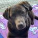 Michael Hartmaier - Facebook