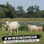 Michael Hasch - @michael.hasch.71 - Instagram