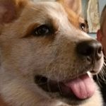 Michael Haskett - @m.haskett.1177 - Instagram
