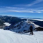 Michael Hatala - @mhatala6 - Instagram
