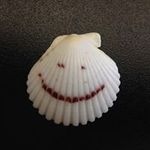 Michael Haug - @mchahaug - Instagram