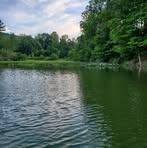 Michael Haven - Facebook