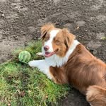 Michael - @michael.haverkamp2020 - Instagram