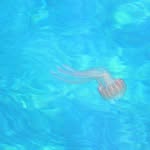 Michael Haverkamp - @michaelhaverkamp - Instagram