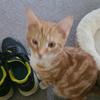 michaelhawn612 - @michaelhawn612 - TikTok
