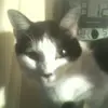 michaeljheadrick - @michaeljheadrick - TikTok