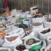 Michael Herbalist Spiritual Healer Call-Whatsapp +27630228685 - Facebook