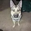 Michael Healey - @michael.healey - TikTok