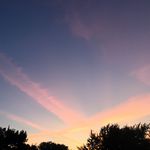 Michael Healey - @user24443533 - Instagram