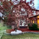 Michael Healey - @bhlandscaping1 - Instagram