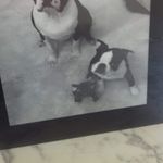 Michael heap - @heap489 - Instagram