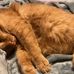 Michael Heatherman - Facebook