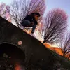 _michaelwheatley - @jaydenwheatley - TikTok