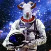 Michael Hedgepeth - @michael_hedgepeth - TikTok