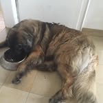 Michael Heer - @micha_9561 - Instagram