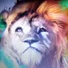 michaelheiland358 - @brilliant_skys - TikTok