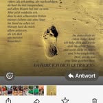 Michael Heim - @michael.heim.12 - Instagram