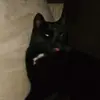 michaelheindl27 - @michaelheindl27 - TikTok