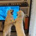 Michael Heisinger - Facebook