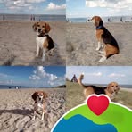 Michael Heitkamp - Facebook