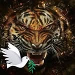 Michael Heitmann - @michael.heitmann.7773 - Instagram