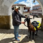 Michael Heitmann - @michael.heitmann.04 - Instagram