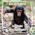 Michael Heitmann - @heitmannm - Instagram