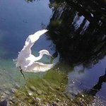 Michael Heitz - @heitzenberg - Instagram