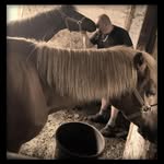 Michael Heldt - @michael.haudegenheldt - Instagram