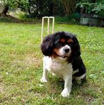 Michael Helmes - Facebook