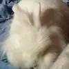 Michael Helmes - @michael.helmes - TikTok