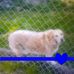 Michael Helsley - Facebook